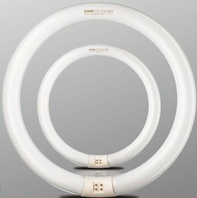 Λάμπα κυκλική T9/865 32W 6500K 304mm