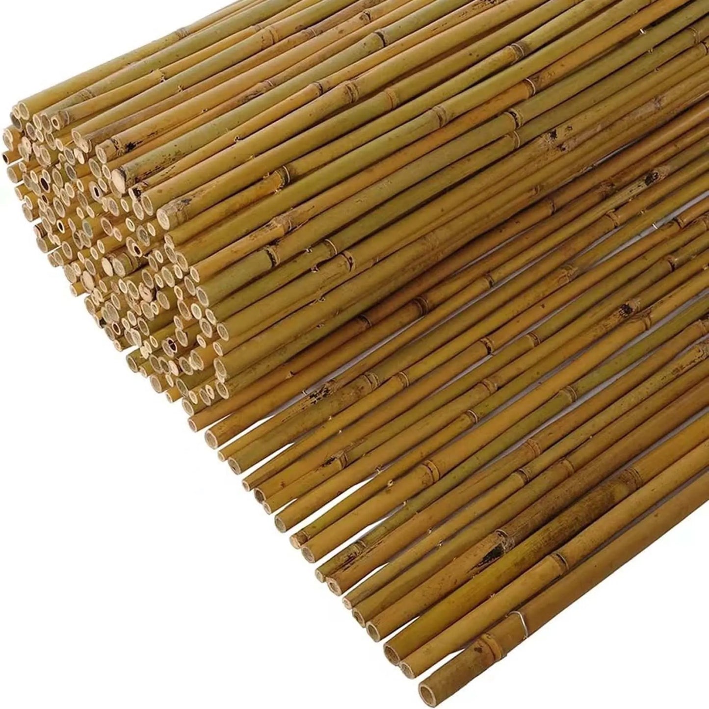Κίτρινο Bamboo με Inox Δέσιμο BAMBOO YELLOW 25-30mm με INOX σύρμα 200(Υ) x 250εκ