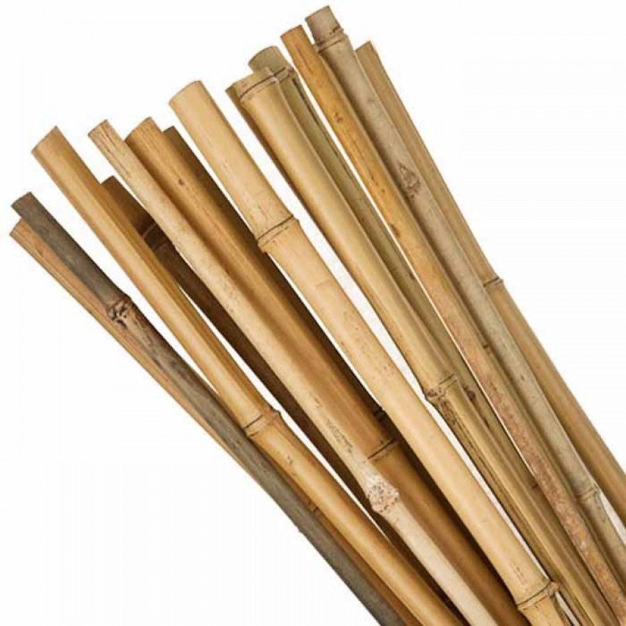 Ιστός bamboo Ø10-12 x 400εκ. 21400