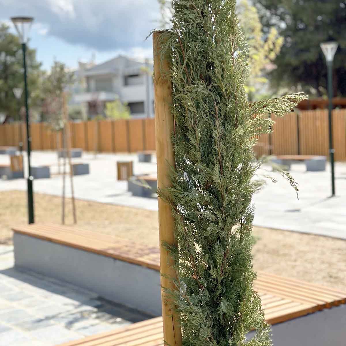 Ξύλινος πάσσαλος Ø5εκ. Ø5 x 200εκ. | με μύτη 05200