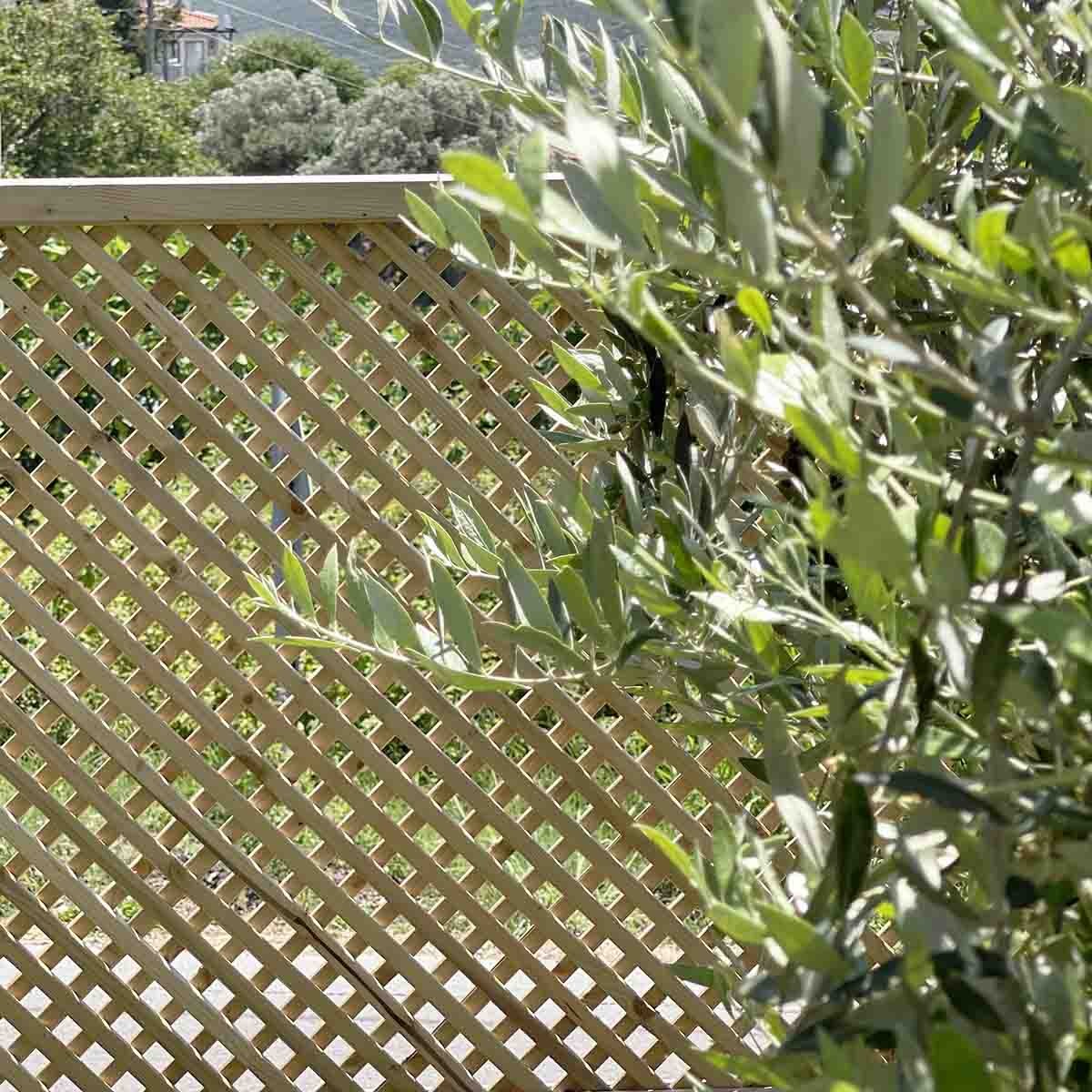 Καφασωτό Διαμάντι 2 x 2 ΚΑΦΑΣΩΤΟ ΔΙΑΜΑΝΤΙ (2x2) 150 x 180εκ. 21835