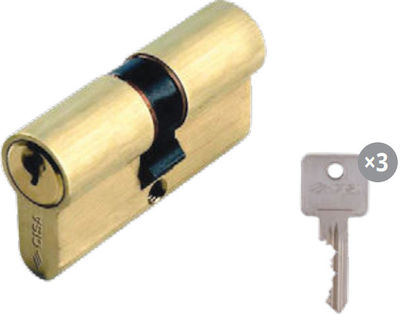 CISA C2000 ΚΥΛΙΝΔΡΟΣ ΑΣΦΑΛΕΙΑΣ ΣΕ ΧΡΥΣΟ 22-27MM (N.49) 0G300-03 36886