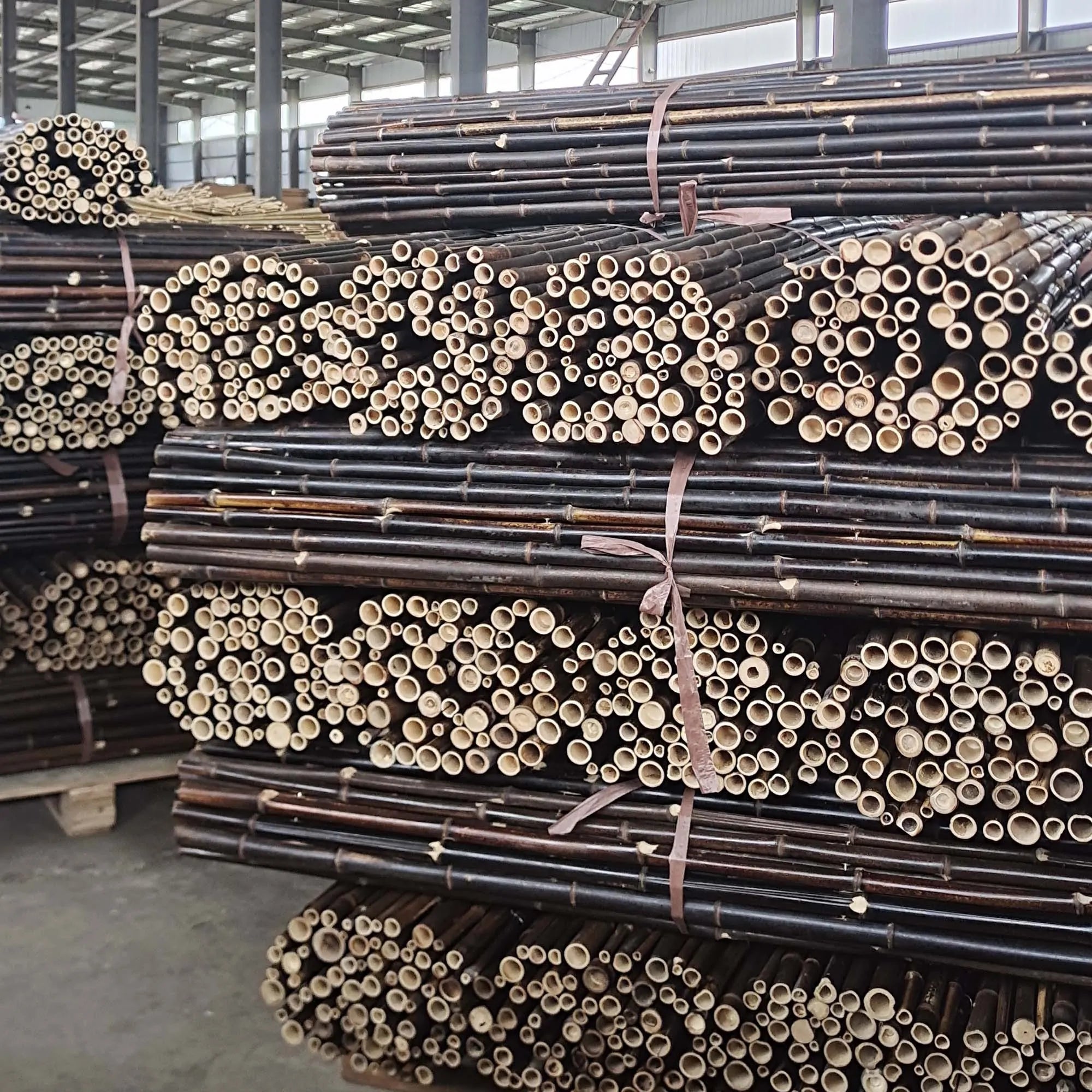 Καλαμωτή μπαμπού Μαύρο Ø25-30mm BAMBOO ΦΥΣΙΚΟ ΜΑΥΡΟ 25-30mm 100(Υ) x 250εκ