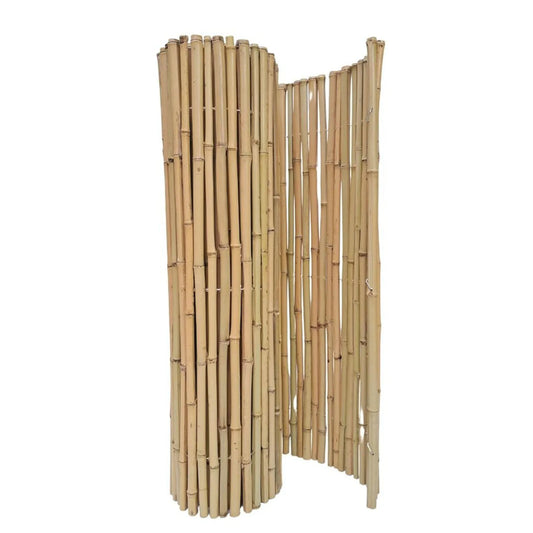 Κίτρινο Bamboo με Inox Δέσιμο BAMBOO YELLOW 25-30mm με INOX σύρμα 100(Υ) x 250εκ