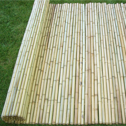 Κίτρινο Bamboo με Inox Δέσιμο BAMBOO YELLOW 25-30mm με INOX σύρμα 250(Υ) x 250εκ