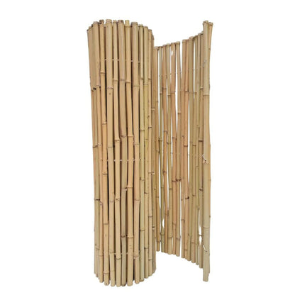 Κίτρινο Bamboo με Inox Δέσιμο BAMBOO YELLOW 25-30mm με INOX σύρμα 200(Υ) x 250εκ