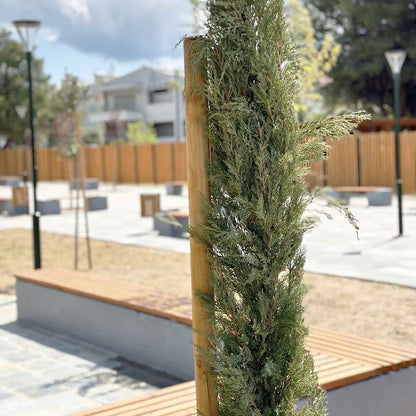 Ξύλινος πάσσαλος Ø5εκ. Ø5 x 250εκ. | με μύτη 30096