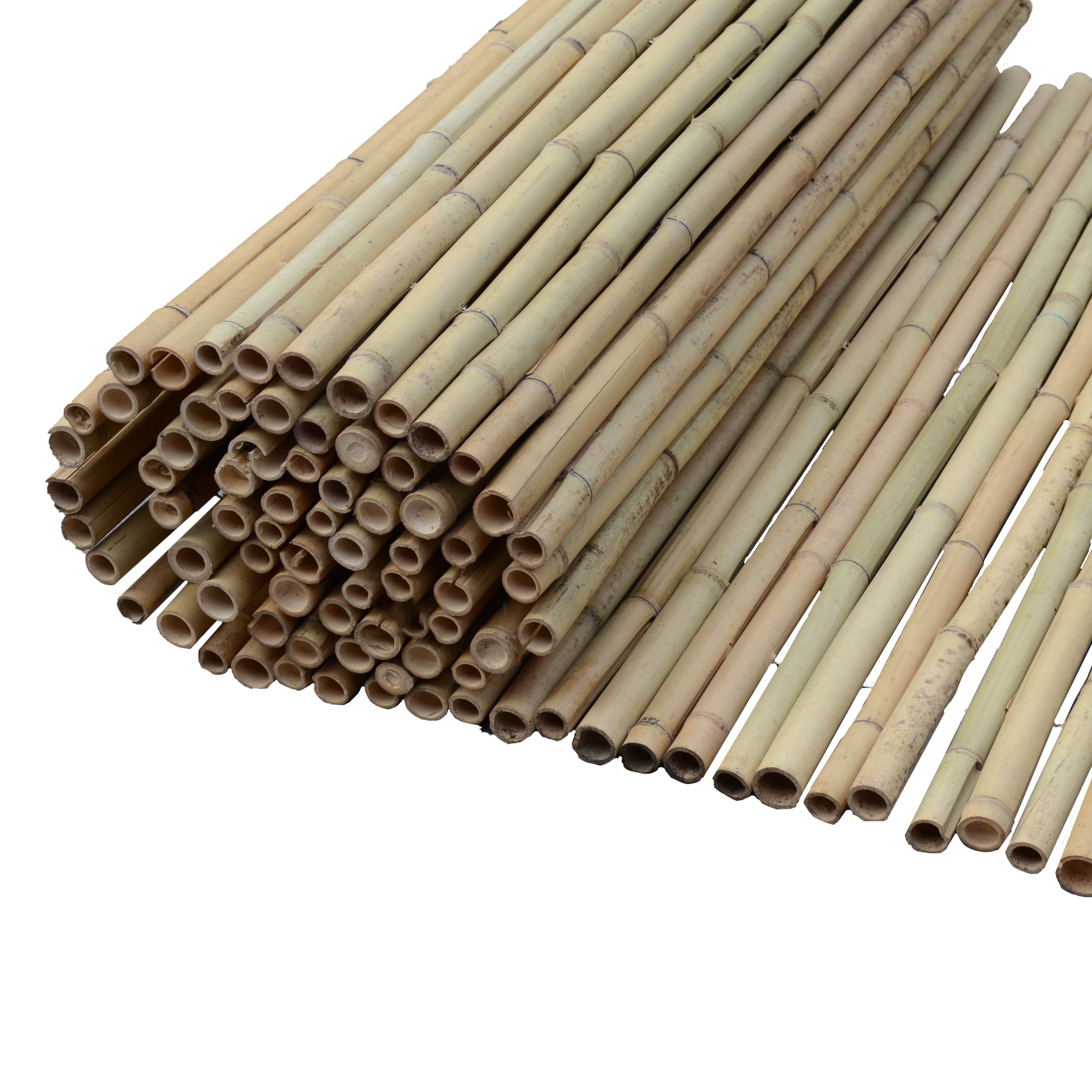 Καλαμωτή bamboo Tonkin με περαστό σύρμα 14-20mm BAMBOO 14-20mm | 150(Υ) x 300εκ. 30293