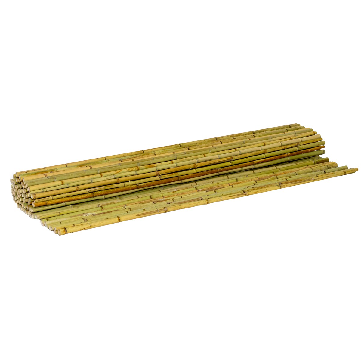 Καλαμωτή bamboo Tonkin με περαστό σύρμα 14-20mm BAMBOO 14-20mm | 200(Υ) x 300εκ. 30294