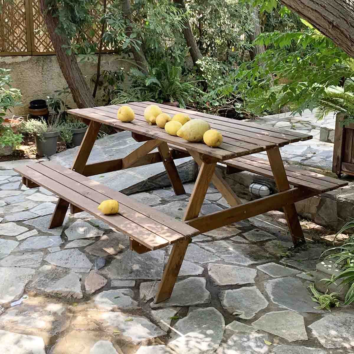 Ξύλινο τραπέζι - πάγκος πικ νικ 150εκ. Πάγκος Εξοχής 75 x 150 x 150εκ. 50744